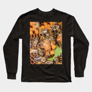 Queen's chambers Long Sleeve T-Shirt